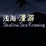 Shallow Sea Roaming