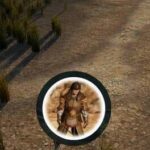 Survivors
