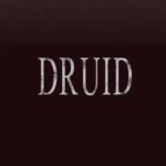 Druid