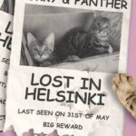 Purry & Panther: Lost in Helsinki