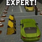 Parking Expert!