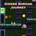 Ginger Shroom Journey