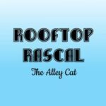 Rooftop Rascal: The Alley Cat