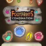 Footprints Combination
