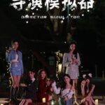 Director Simulator