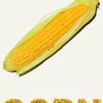 Corn