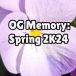 OG Memory: Spring 2K24