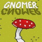 Gnomer