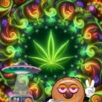 Weedy's World