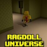 Ragdoll Universe