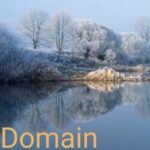Domain Owner