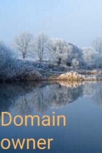 Domain Owner