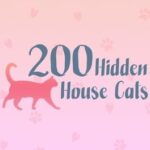 200 Hidden House Cats