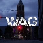 Wag