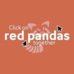 Click On Red Pandas Together