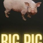 Big Pig