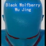 Black Wolfberry: WuJing