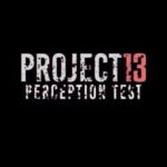 Project 13 Perception Test