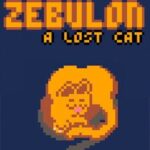 Zebulon: A Lost Cat