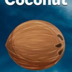 Coconut