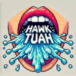 Hawk Tuah