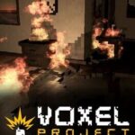 Voxel Project