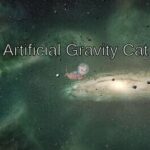 Artificial Gravity Cat
