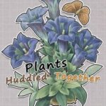 Plants Huddled Together