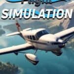 Pilot Flight Simulation