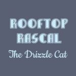 Rooftop Rascal: The Drizzle Cat