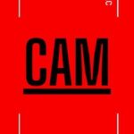 Cam