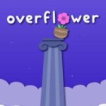 Overflower