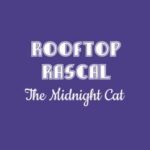 Rooftop Rascal: The Midnight Cat