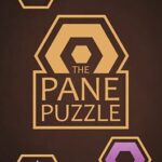 The Pane Puzzle