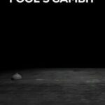 Fool's Gambit