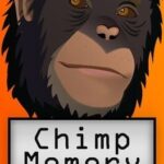 Chimp Memory