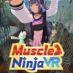 Muscle Ninja VR
