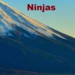 Multiplayer Ninjas