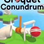 Croquet Conundrum