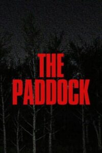 The Paddock