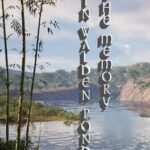 The Memory In Walden Pond