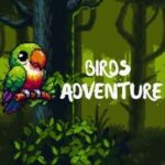 Birds Adventure