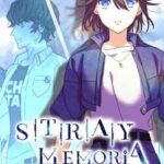Stray Memoria