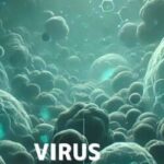 Virus Hunter