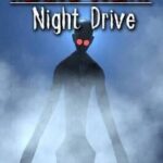Night Drive