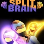 Split Brain