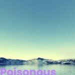 Poisonous Abyss
