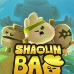 Shaolin Bao