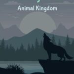 Memory Holder: Animal Kingdom