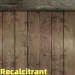 Recalcitrant